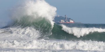 Natureza como aliada: a estratégia contra desastres climáticos nas cidades brasileiras