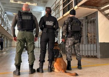 Operação Mute combate o crime organizado em presídios de 15 estados