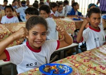 Plataforma Contrata+Brasil impulsiona compra de alimentos da agricultura familiar