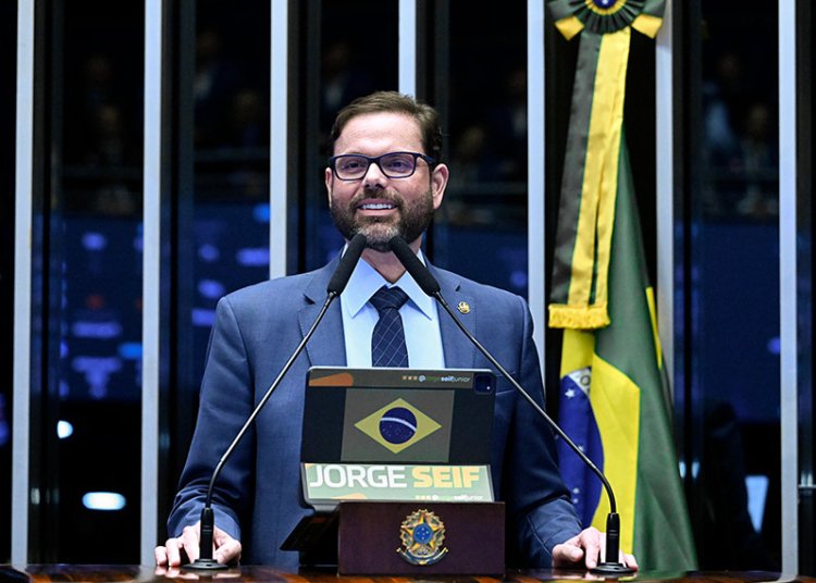 Por favor, forneça o texto original do artigo para que eu possa realizar a reescrita e a