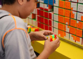 Primeira etapa do censo da educação básica 2026 começa em 27 de julho