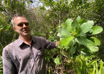 Restinga de Jaconé: um tesouro ambiental e histórico sob ameaça no Rio de Janeiro
