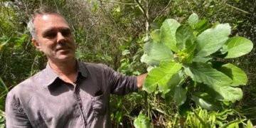 Restinga de Jaconé: um tesouro ambiental e histórico sob ameaça no Rio de Janeiro