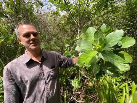 Restinga de Jaconé: um tesouro ambiental e histórico sob ameaça no Rio de Janeiro
