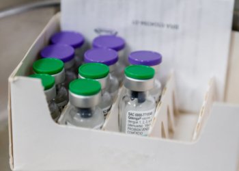 São Paulo amplia vacinação contra dengue para profissionais de saúde e pessoas de 59 anos