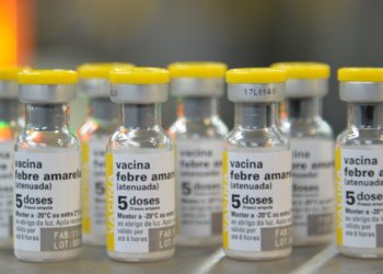 SP reforça vacina contra febre amarela no Grande ABC após morte de primata