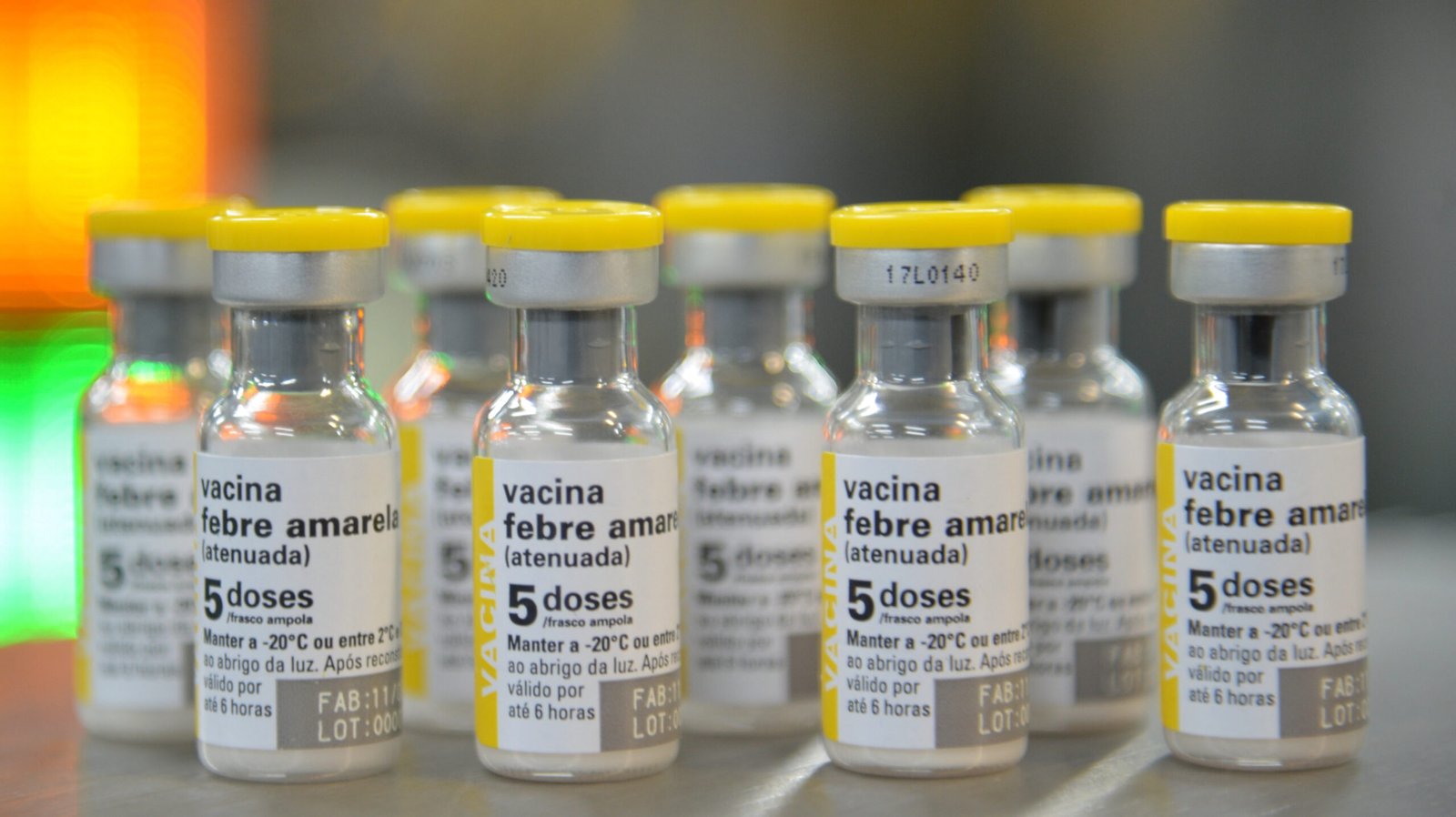 SP reforça vacina contra febre amarela no Grande ABC após morte de primata