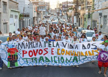 Viva Maria destaca aliança inédita em defesa da Mata Atlântica