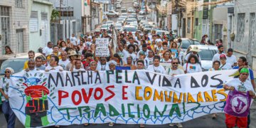 Viva Maria destaca aliança inédita em defesa da Mata Atlântica