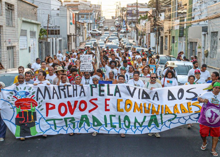 Viva Maria destaca aliança inédita em defesa da Mata Atlântica