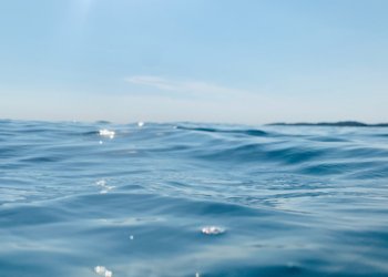 Brasil enfrenta desafio de proteger 30% das áreas marinhas até 2030 no Dia Mundial dos Oceanos