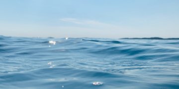 Brasil enfrenta desafio de proteger 30% das áreas marinhas até 2030 no Dia Mundial dos Oceanos