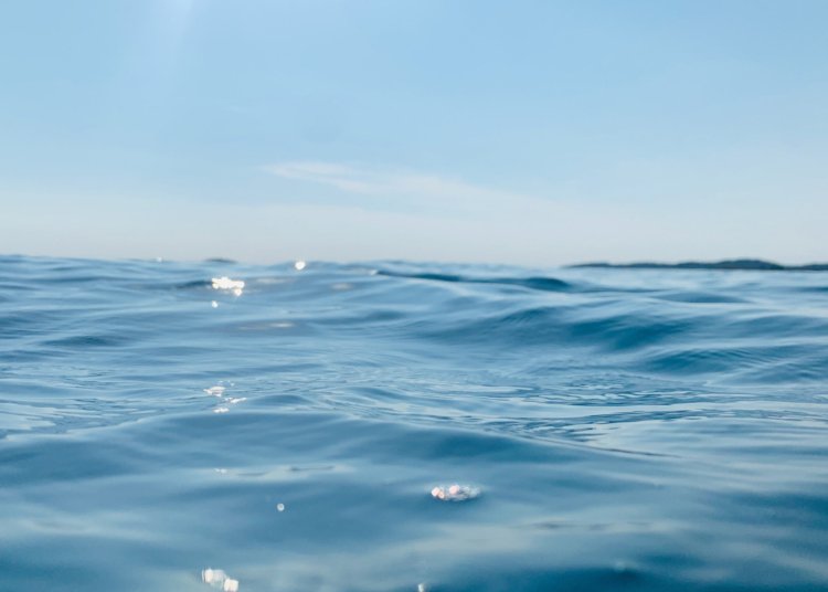 Brasil enfrenta desafio de proteger 30% das áreas marinhas até 2030 no Dia Mundial dos Oceanos
