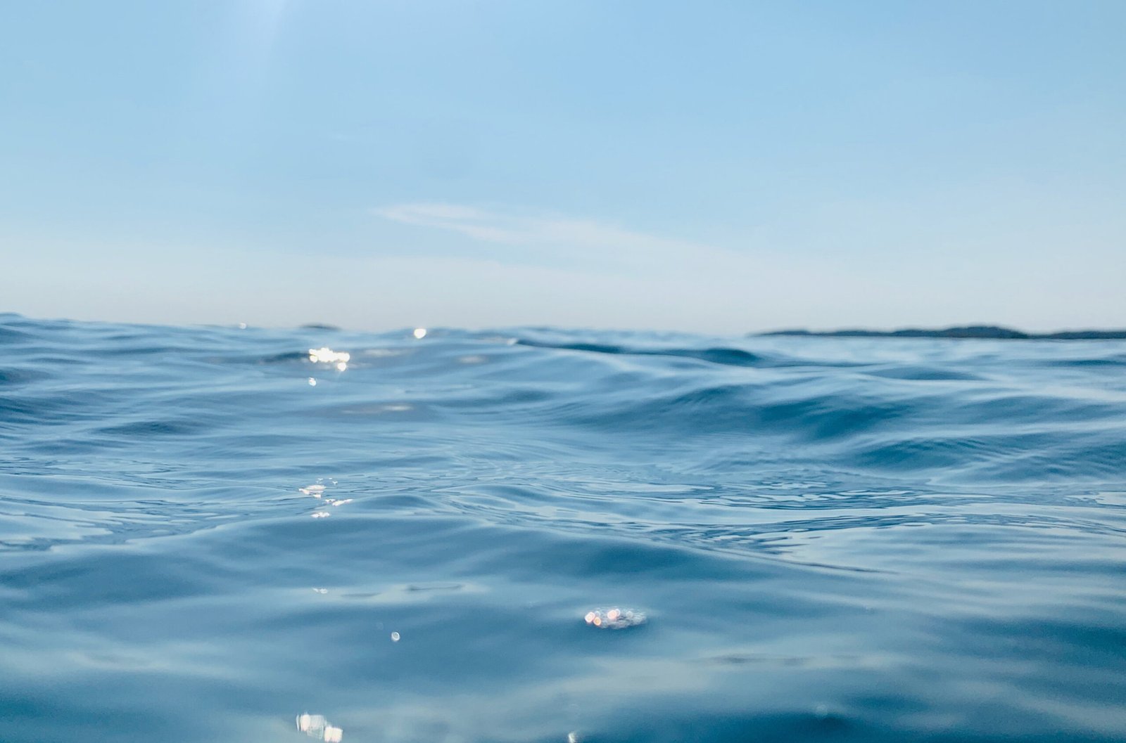 Brasil enfrenta desafio de proteger 30% das áreas marinhas até 2030 no Dia Mundial dos Oceanos