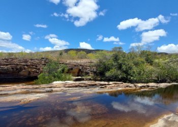 Desmatamento na Amazônia cai 61,4% em maio de 2026 e registra maior queda percentual