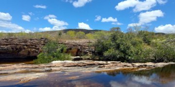 Desmatamento na Amazônia cai 61,4% em maio de 2026 e registra maior queda percentual