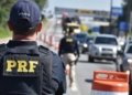 PRF intercepta carga recorde de 26 fuzis em caminhão que seguia para Minas Gerais