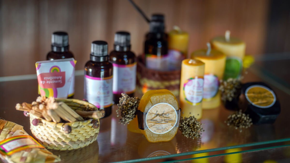 Amélias da Amazônia transformam andiroba em biocosméticos e criam renda no Oeste do Pará