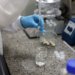 Brasil institui estratégia para reduzir dependência externa de insumos e medicamentos