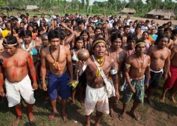 Estado brasileiro pede desculpas aos indígenas avá-canoeiro por abusos da ditadura