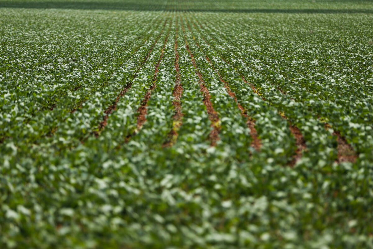 Governo e bancada do agro mantêm impasse sobre renegociação de dívidas rurais após reunião