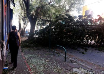 Investimento das concessionárias em redes elétricas é vital contra eventos climáticos extremos