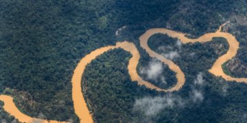 Noruega e Brasil trocam a rivalidade do campo pela aliança climática na conservação florestal