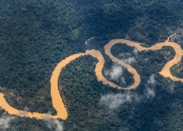Noruega e Brasil trocam a rivalidade do campo pela aliança climática na conservação florestal
