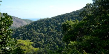 Plano mobiliza R$ 500 bi para financiamento sustentável no Brasil