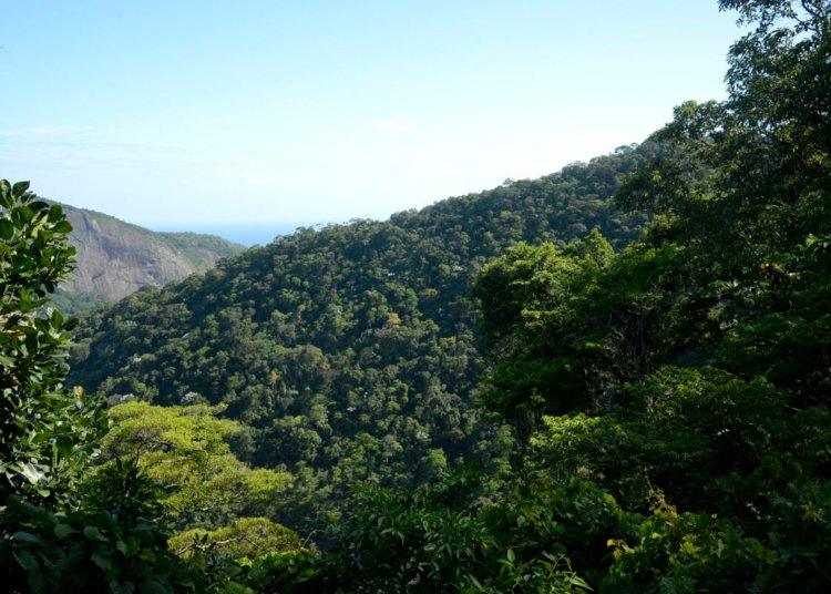 Plano mobiliza R$ 500 bi para financiamento sustentável no Brasil