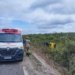 Romeiros morrem após tombamento de ônibus na rodovia CE-456 no interior do Ceará