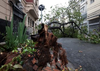 Vendavais em São Paulo e Rio de Janeiro não possuem ligação direta confirmada com o El Niño