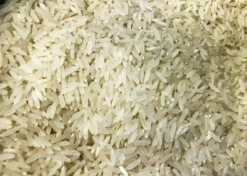 Brasil envia 10 toneladas de arroz para apoiar vítimas de terremoto na Colômbia