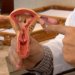 CNPq destina R$ 60 milhões para projetos de combate à endometriose e saúde menstrual no SUS