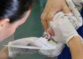 Diagnóstico tardio da AME e falhas no teste do pezinho impedem tratamento precoce no Brasil