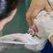 Diagnóstico tardio da AME e falhas no teste do pezinho impedem tratamento precoce no Brasil
