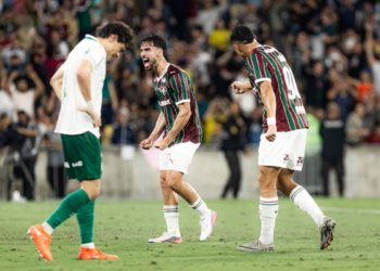 Fluminense interrompe sequência negativa e supera o Palmeiras no Maracanã