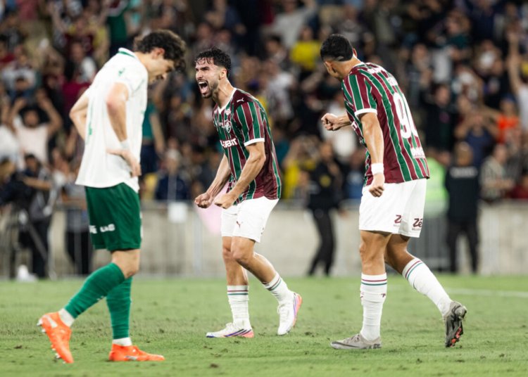 Fluminense interrompe sequência negativa e supera o Palmeiras no Maracanã
