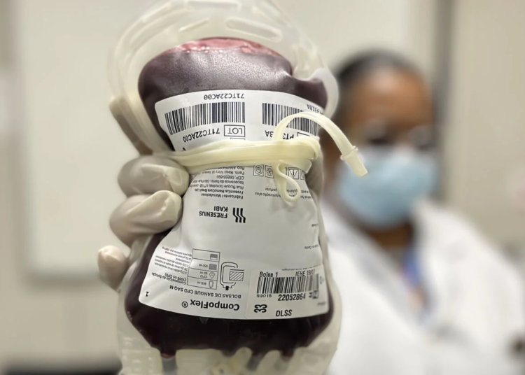 Junho Vermelho aumenta em 20% doações de sangue e reforça estoques dos hemocentros nacionais