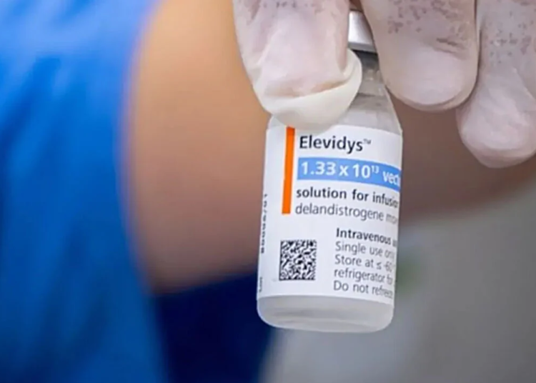 Registro do medicamento Elevidys para distrofia muscular de Duchenne é cancelado pela Anvisa
