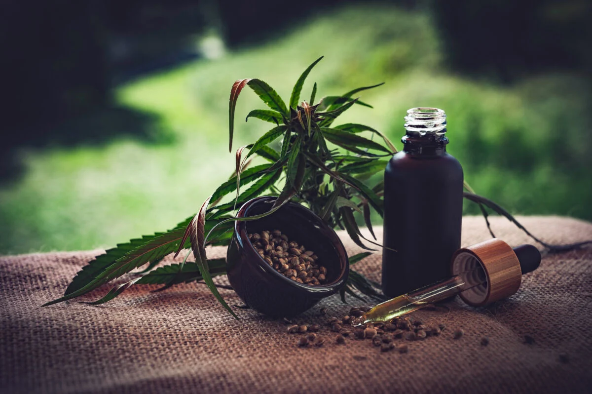 Entidades de cannabis medicinal enfrentam vácuo regulatório e mira da polícia