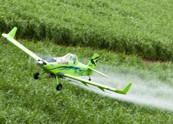 Brasil se consolida como segundo maior destino de pesticidas banidos na União Europeia