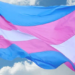 Distrito Federal promove mutirão jurídico para retificação de prenome e gênero de pessoas trans
