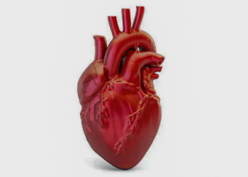 Doenças cardiovasculares provocam uma morte a cada 72 segundos no Brasil