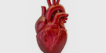 Doenças cardiovasculares provocam uma morte a cada 72 segundos no Brasil