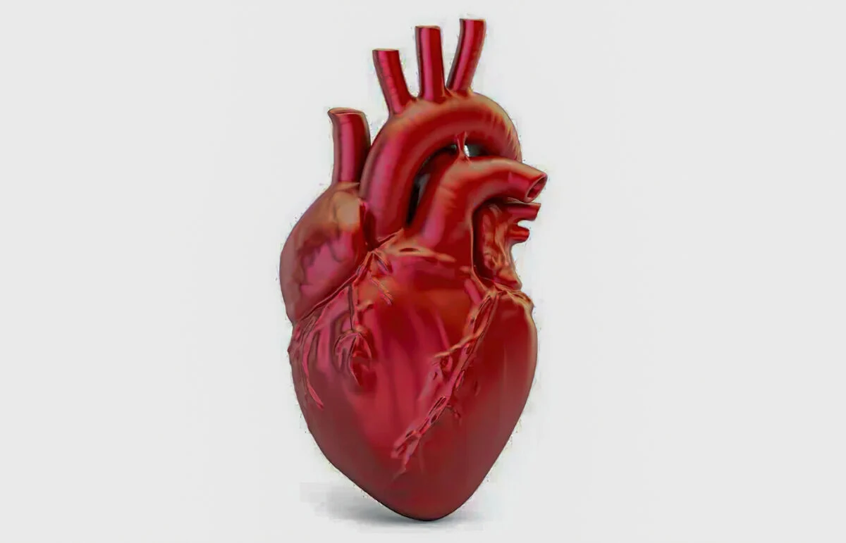 Doenças cardiovasculares provocam uma morte a cada 72 segundos no Brasil
