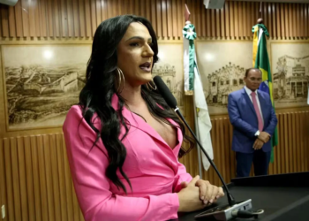 Representatividade trans cresce no Legislativo com eleição de novos nomes em 2024
